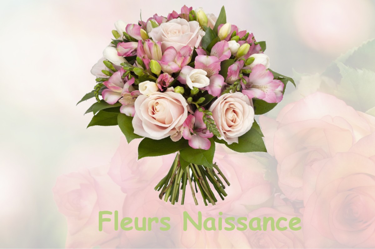 fleurs naissance SAINT-SAUVEUR-SUR-TINEE