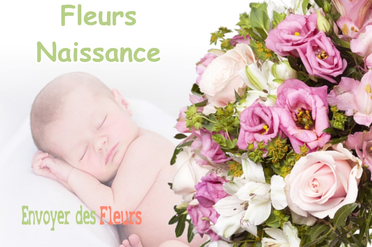 lIVRAISON FLEURS NAISSANCE à SAINT-SAUVEUR-SUR-TINEE